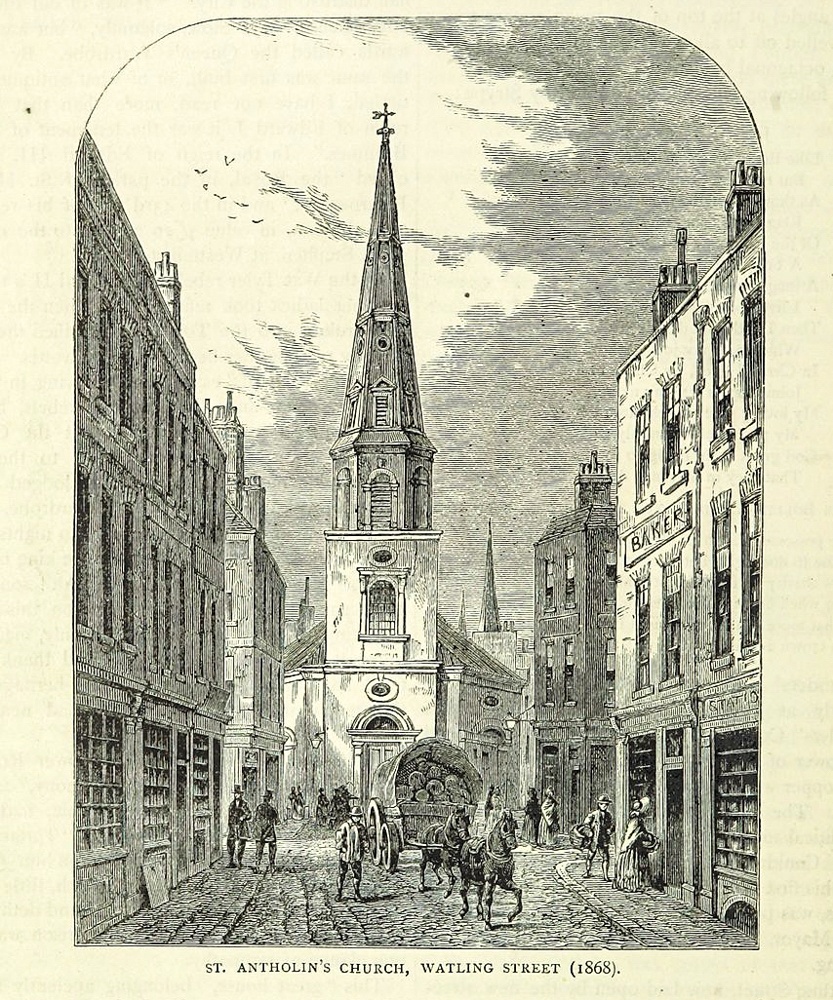 Baxter Field in Sydenham Enthusiastic Gardener